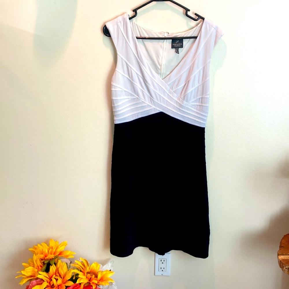 Black and white Adrianna Papell dress.